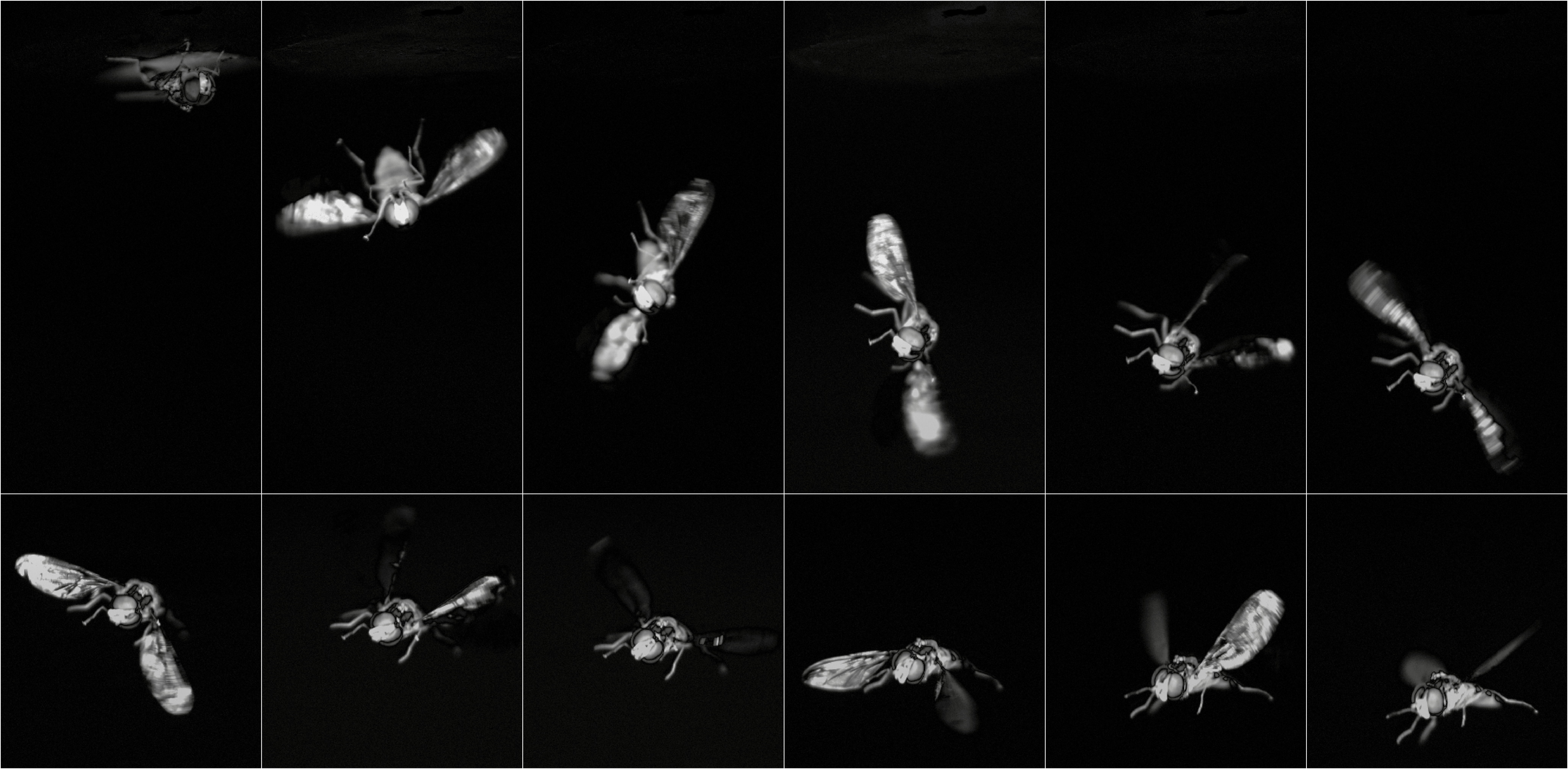 example image